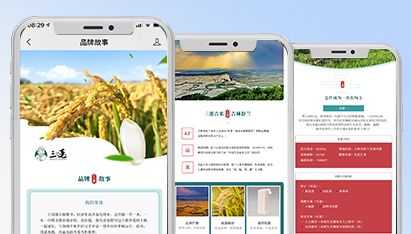 青岛网页设计效果
