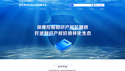 青岛网站开发建设公司